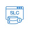 SLC Cache