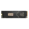 GE PRO M.2 PCIe SSD