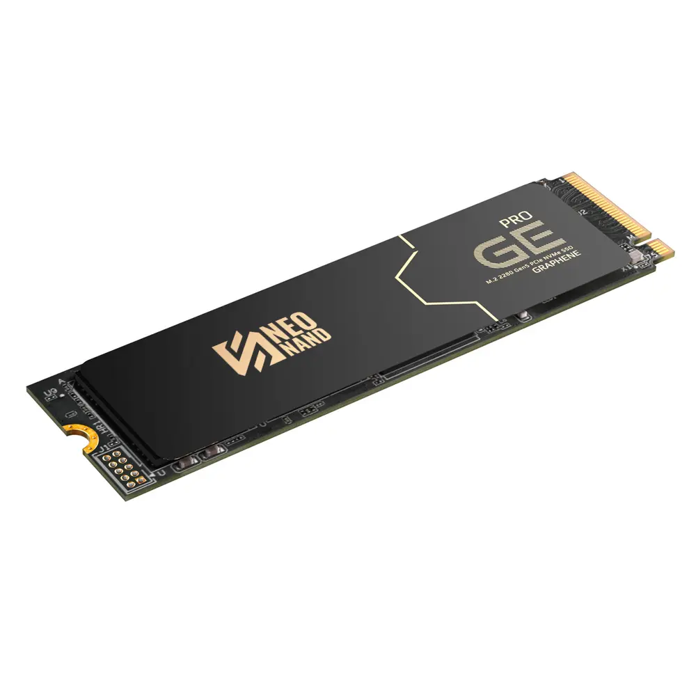 GE PRO M.2 PCIe SSD